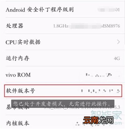 vivos5怎么打开开发者选项
