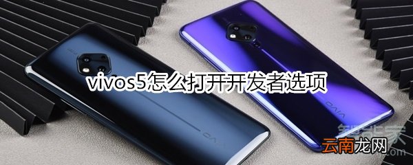 vivos5怎么打开开发者选项