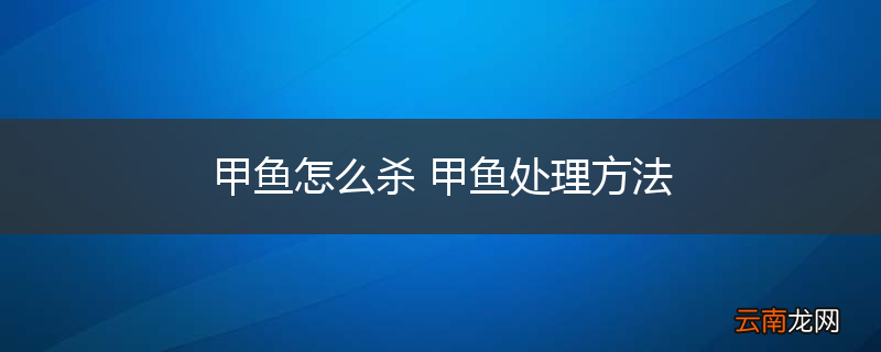 甲鱼怎么杀 甲鱼处理方法