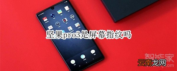 坚果pro3是屏幕指纹吗