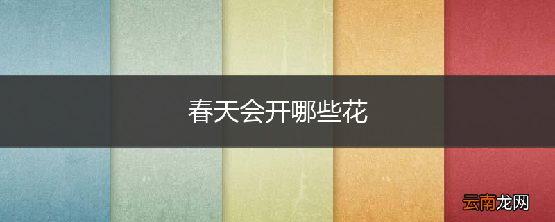 春天会开哪些花