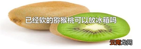 已经软的猕猴桃可以放冰箱吗