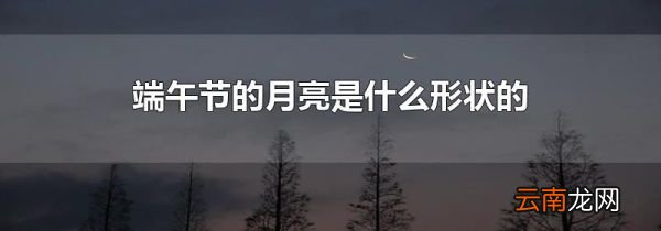 端午节的月亮是什么形状的