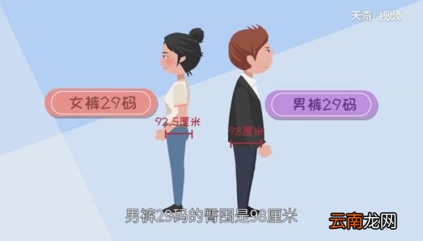 裤子29码臀围是多少 29码的裤子臀围是多少