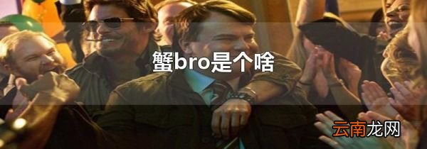 蟹bro是个啥