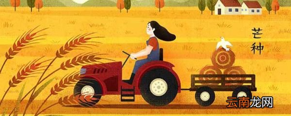 小满和芒种的特点 小满和芒种是什么意思