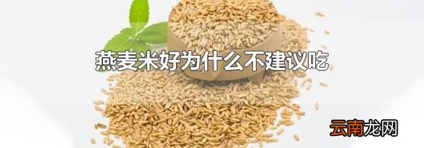 燕麦米好为什么不建议吃