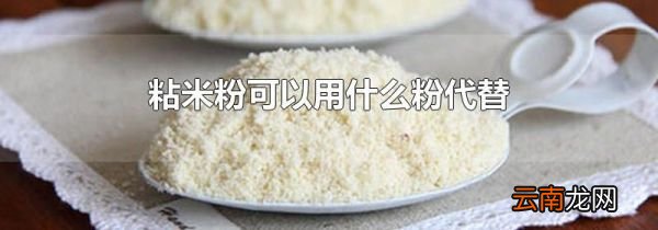粘米粉可以用什么粉代替