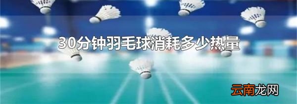 30分钟羽毛球消耗多少热量