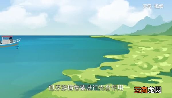 海洋中最多的生物是 海洋中最多的生物是什么生物