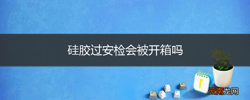 硅胶过安检会被开箱吗