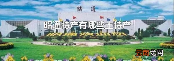 昭通特产有哪些土特产