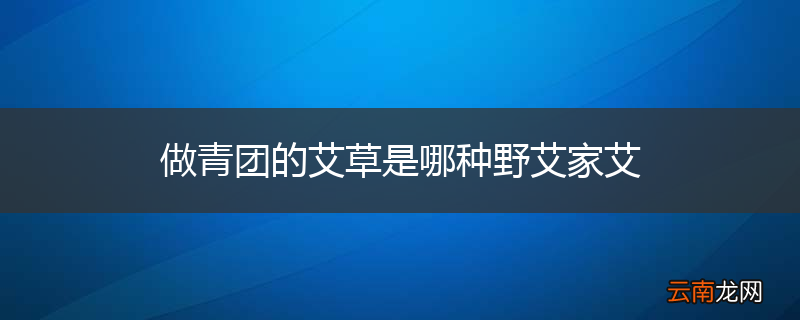 做青团的艾草是哪种野艾家艾