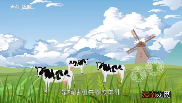 奶制品有哪些奶制品分类有哪些