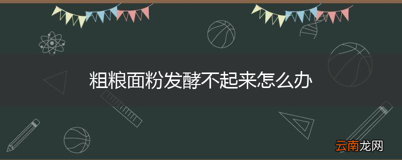 粗粮面粉发酵不起来怎么办