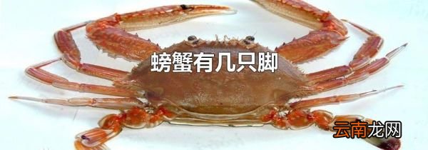 螃蟹有几只脚