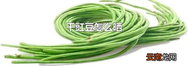 干豇豆怎么晒