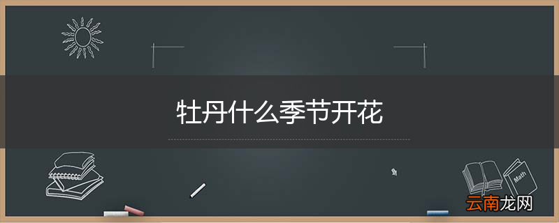 牡丹什么季节开花