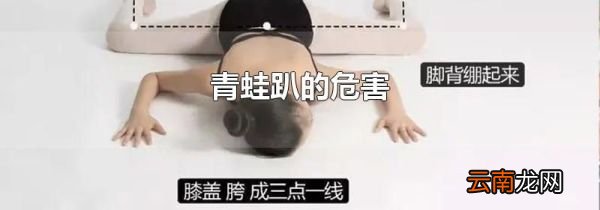 青蛙趴的危害
