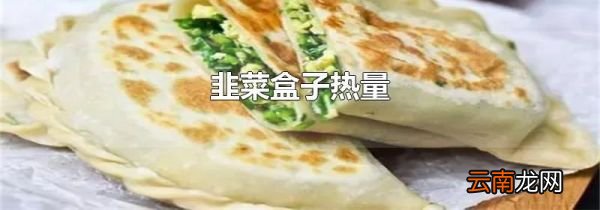 韭菜盒子热量