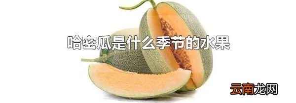 哈密瓜是什么季节的水果