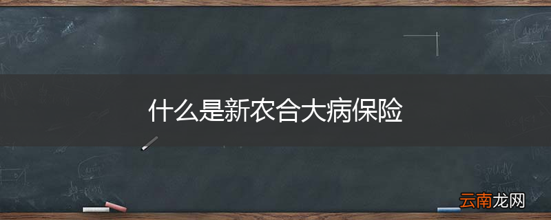 什么是新农合大病保险
