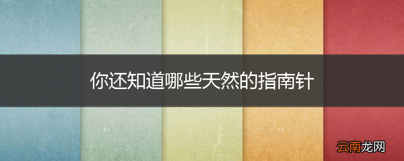 你还知道哪些天然的指南针