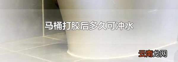 马桶打胶后多久可冲水