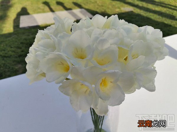 华为P10手机怎么样？华为P10首发测评