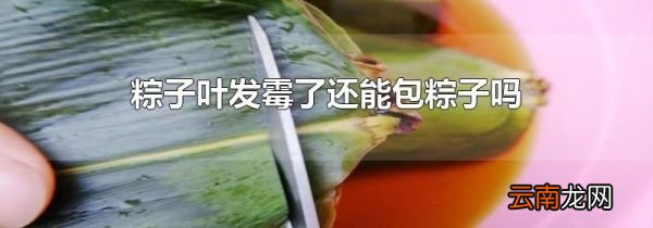 粽子叶发霉了还能包粽子吗