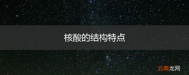 核酸的结构特点