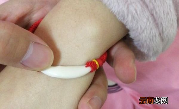 带狗牙的禁忌 带狗牙需要注意什么