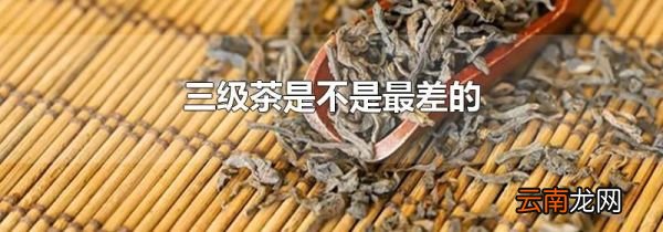 三级茶是不是最差的