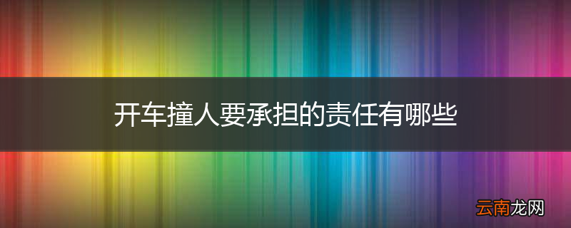 开车撞人要承担的责任有哪些