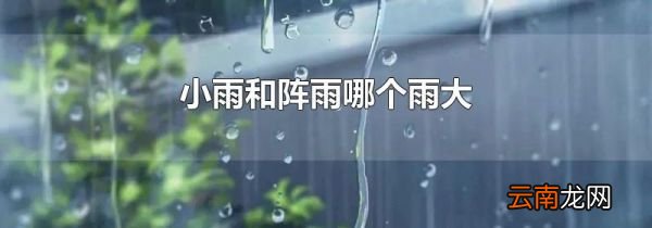 小雨和阵雨哪个雨大