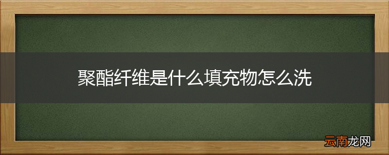 聚酯纤维是什么填充物怎么洗