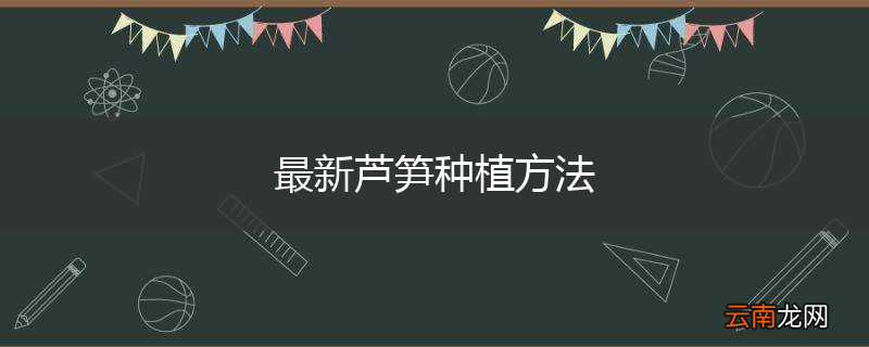 最新芦笋种植方法