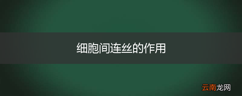 细胞间连丝的作用