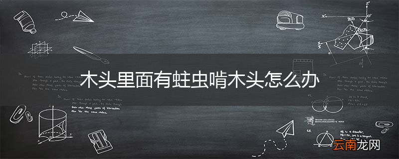 木头里面有蛀虫啃木头怎么办