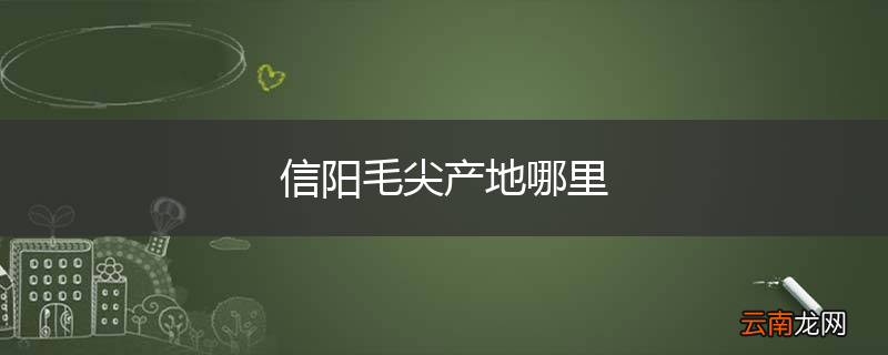信阳毛尖产地哪里