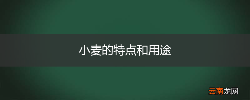 小麦的特点和用途