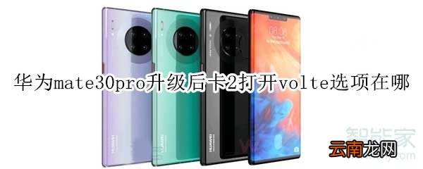 华为mate30pro升级后卡2打开volte选项在哪
