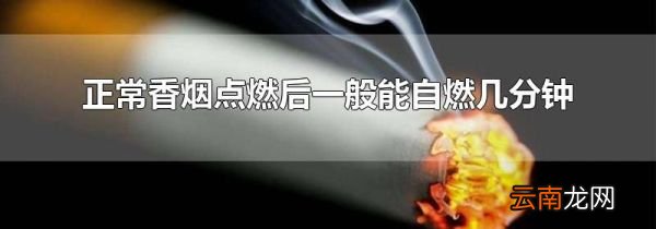 正常香烟点燃后一般能自燃几分钟