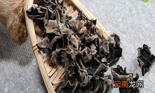吃木耳的利弊 木耳的功效与禁忌