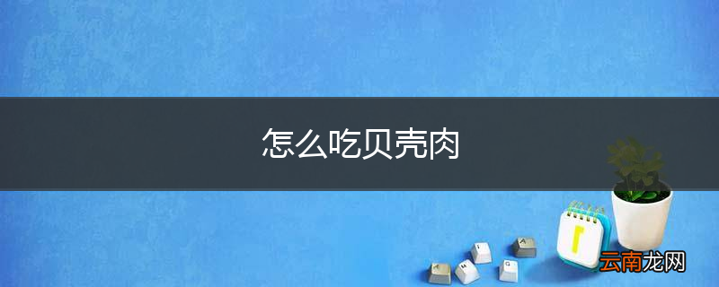 怎么吃贝壳肉