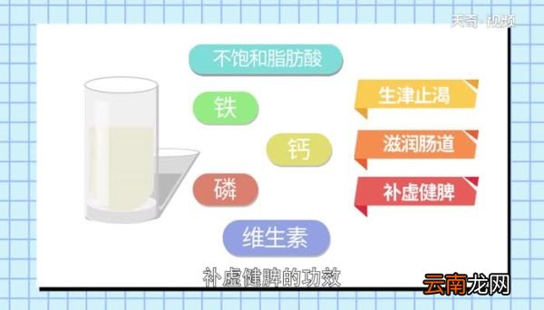 驼奶的功效与作用驼奶有哪些功效与作用