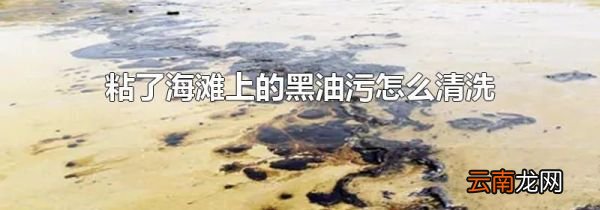 粘了海滩上的黑油污怎么清洗