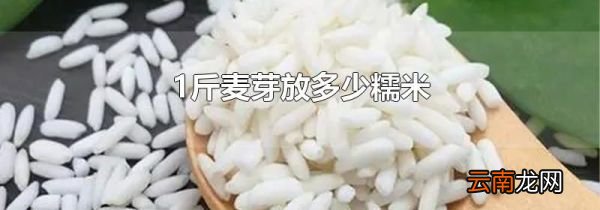 1斤麦芽放多少糯米