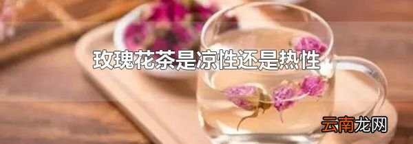 玫瑰花茶是凉性还是热性