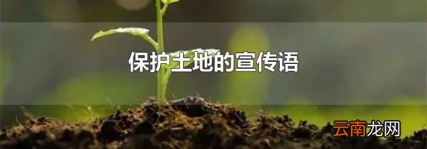 保护土地的宣传语